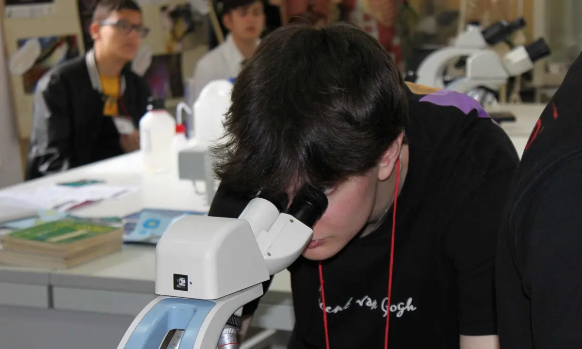 Vibo Valentia: cala il sipario sul Festival delle Scienze 2024 “Neuronia” - Video