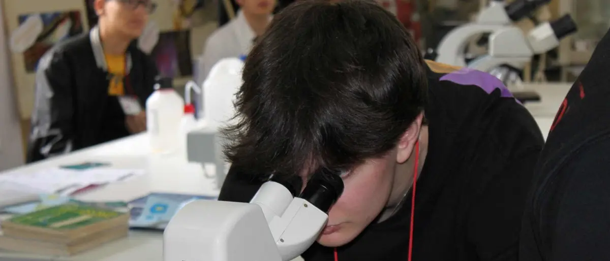 Vibo Valentia: cala il sipario sul Festival delle Scienze 2024 “Neuronia” - Video