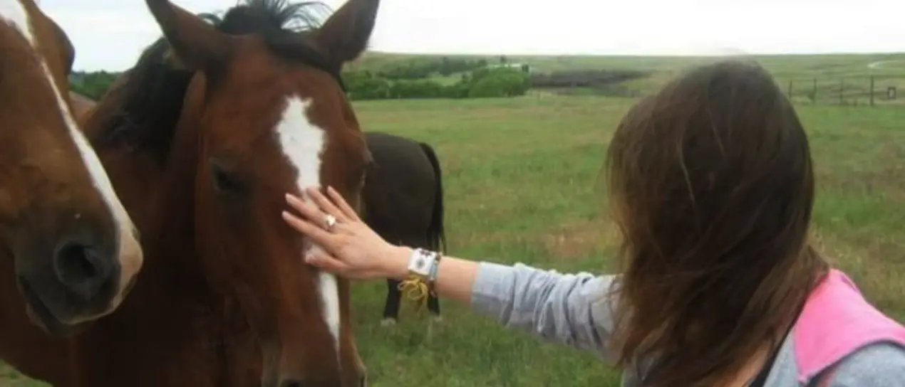 Popoli e identità, all’istituto alberghiero di Vibo la presentazione del libro della sociologa Groe