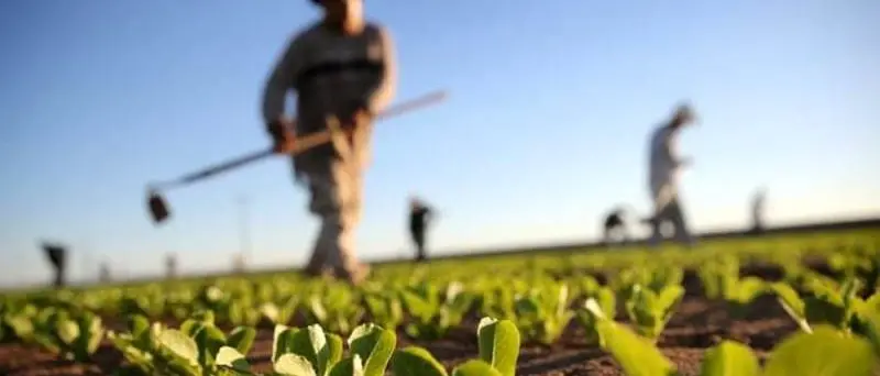 Agricoltura sociale, focus nell’evento in programma alla fattoria didattica Junceum di Vibo