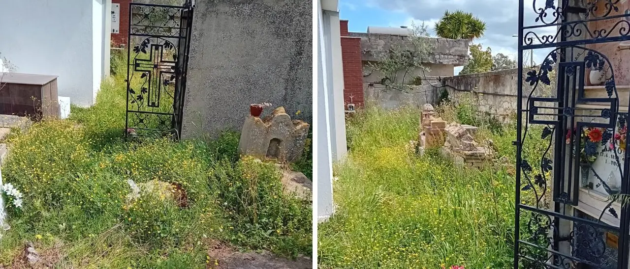 Sterpaglie e degrado nel cimitero di Pannaconi, i cittadini sollecitano interventi