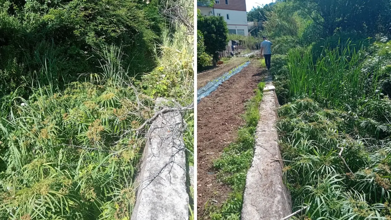 Vibo Marina, De Pinto e Cricenti (Lega): «Fosso La Badessa invaso da sterpaglie, s’intervenga»