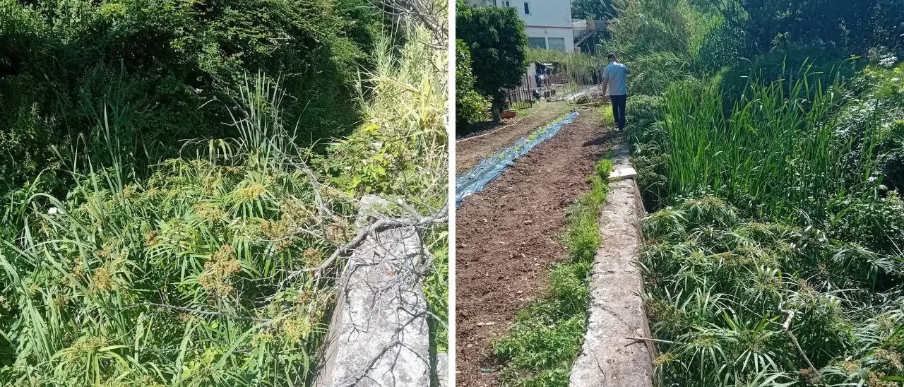 Vibo Marina, De Pinto e Cricenti (Lega): «Fosso La Badessa invaso da sterpaglie, s’intervenga»