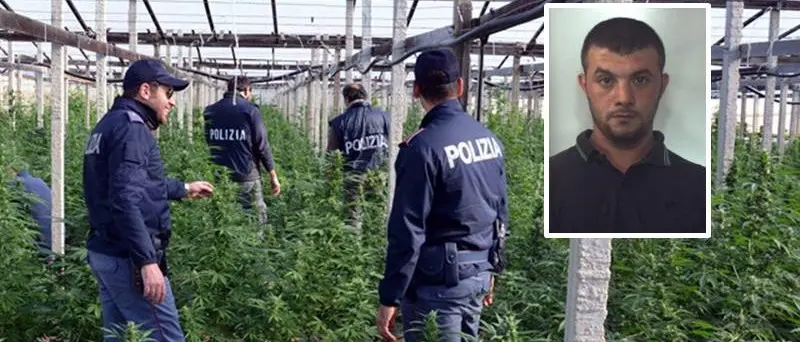 Narcotraffico: giudice incompatibile per “Giardini segreti”, processo rinviato a Vibo