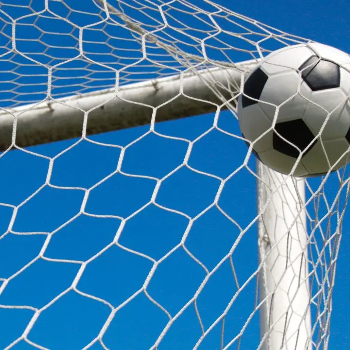 L'Asd Sant'Onofrio Calcio fa gol... al Tar: vinto il ricorso contro il Comune, continuerà a gestire l'impianto sportivo