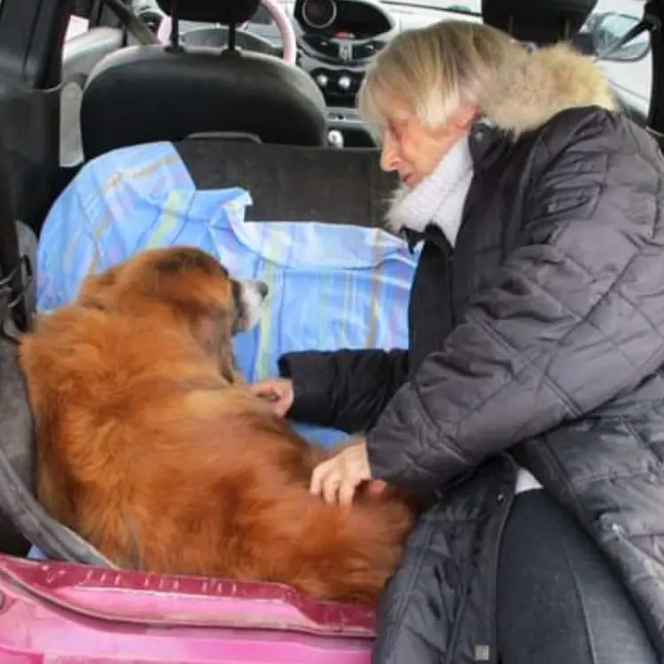 Mondo associazionistico in lutto, addio a Luciana De Francesco: «Ha dedicato la sua vita ai randagi»