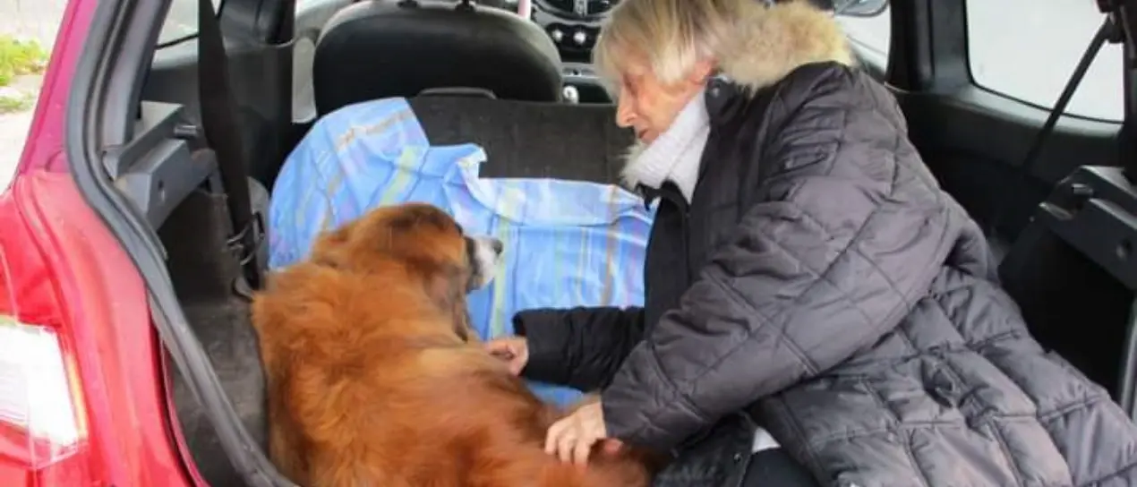 Mondo associazionistico in lutto, addio a Luciana De Francesco: «Ha dedicato la sua vita ai randagi»