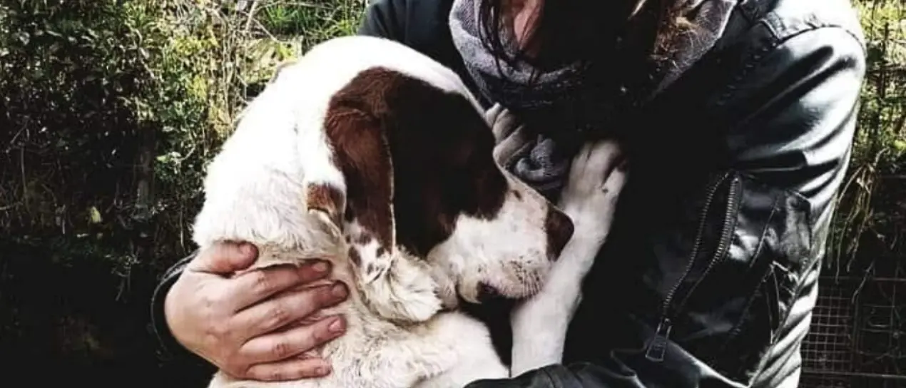 Associazione Argo Vibo, si dimette la storica vicepresidente Marika Barreca