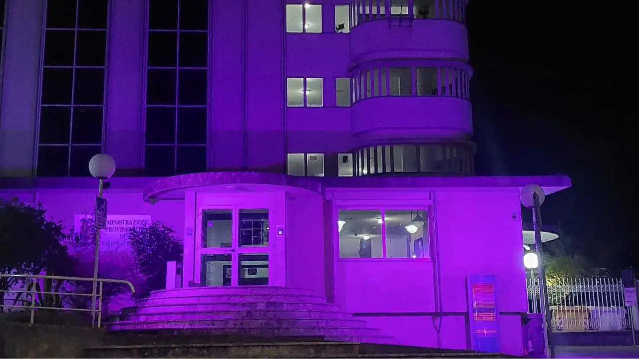 La Provincia di Vibo Valentia si colora di viola per la Giornata Mondiale dell'Alzheimer