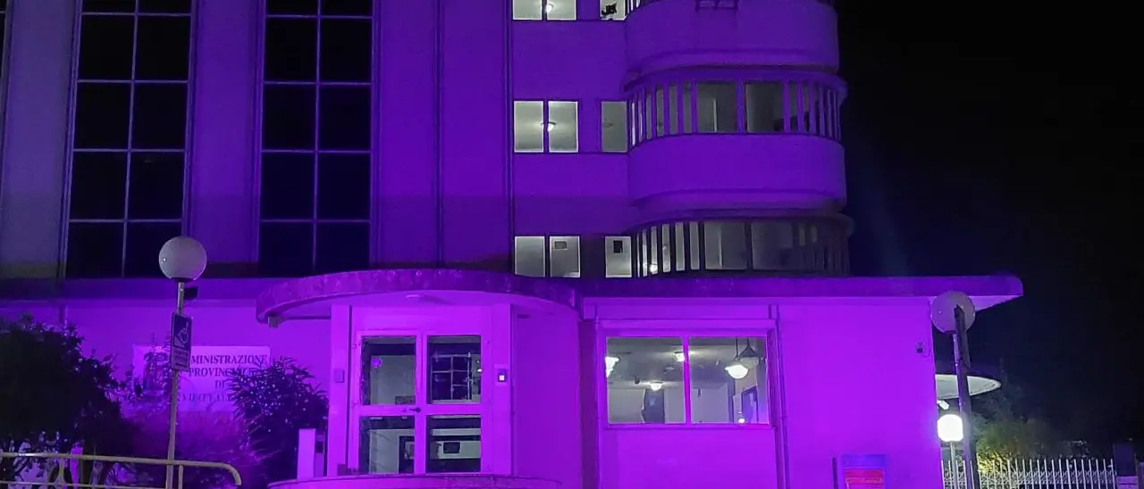 La Provincia di Vibo Valentia si colora di viola per la Giornata Mondiale dell'Alzheimer