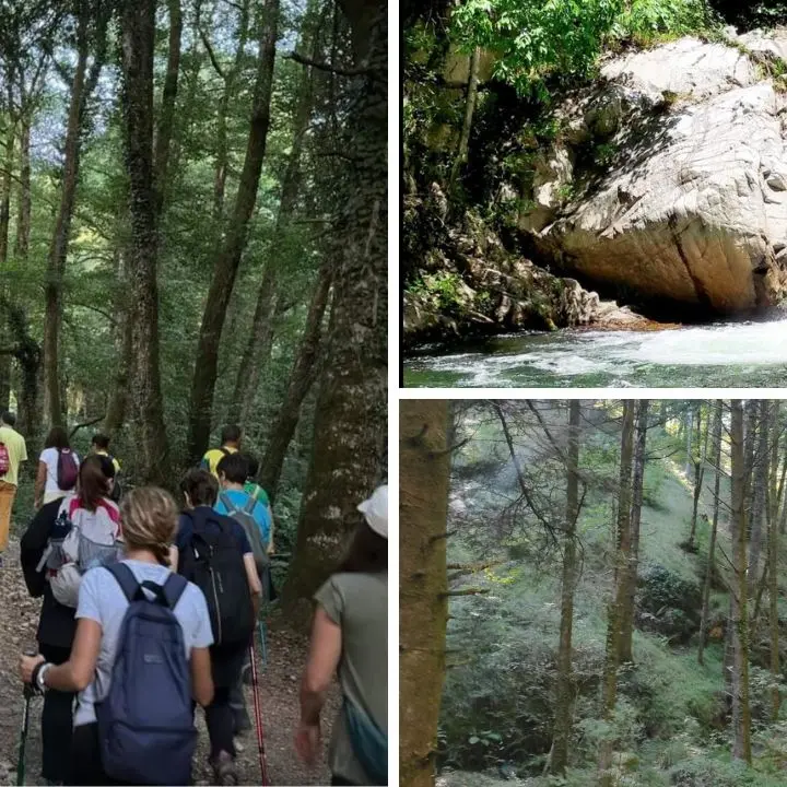 Da Serra San Bruno a Pietracupa vecchia, l’escursione alla scoperta del piccolo borgo fantasma