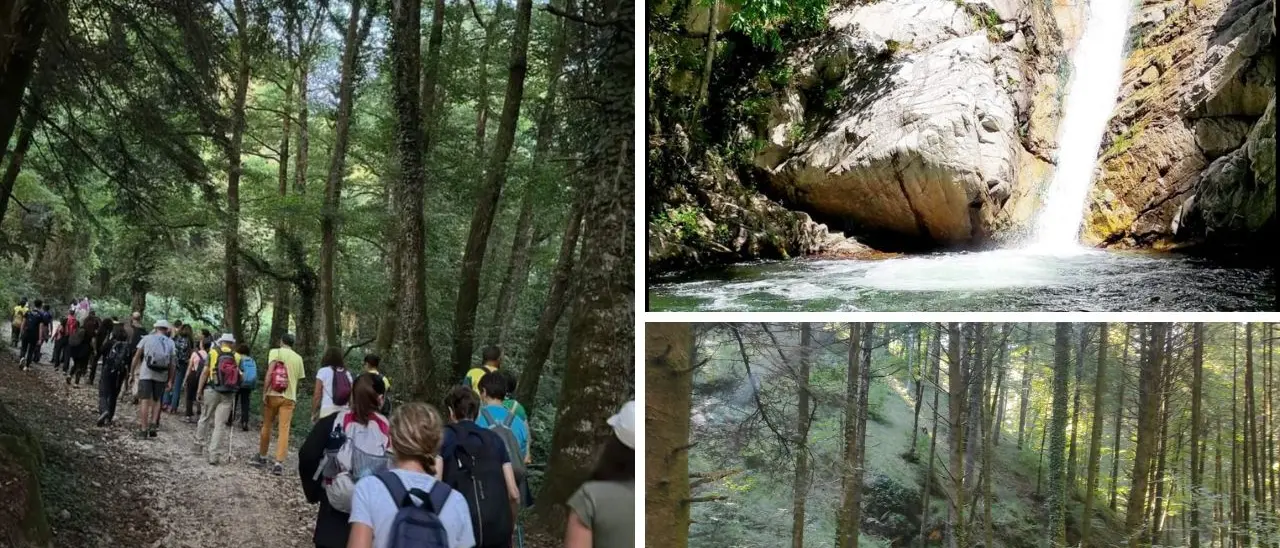 Da Serra San Bruno a Pietracupa vecchia, l’escursione alla scoperta del piccolo borgo fantasma