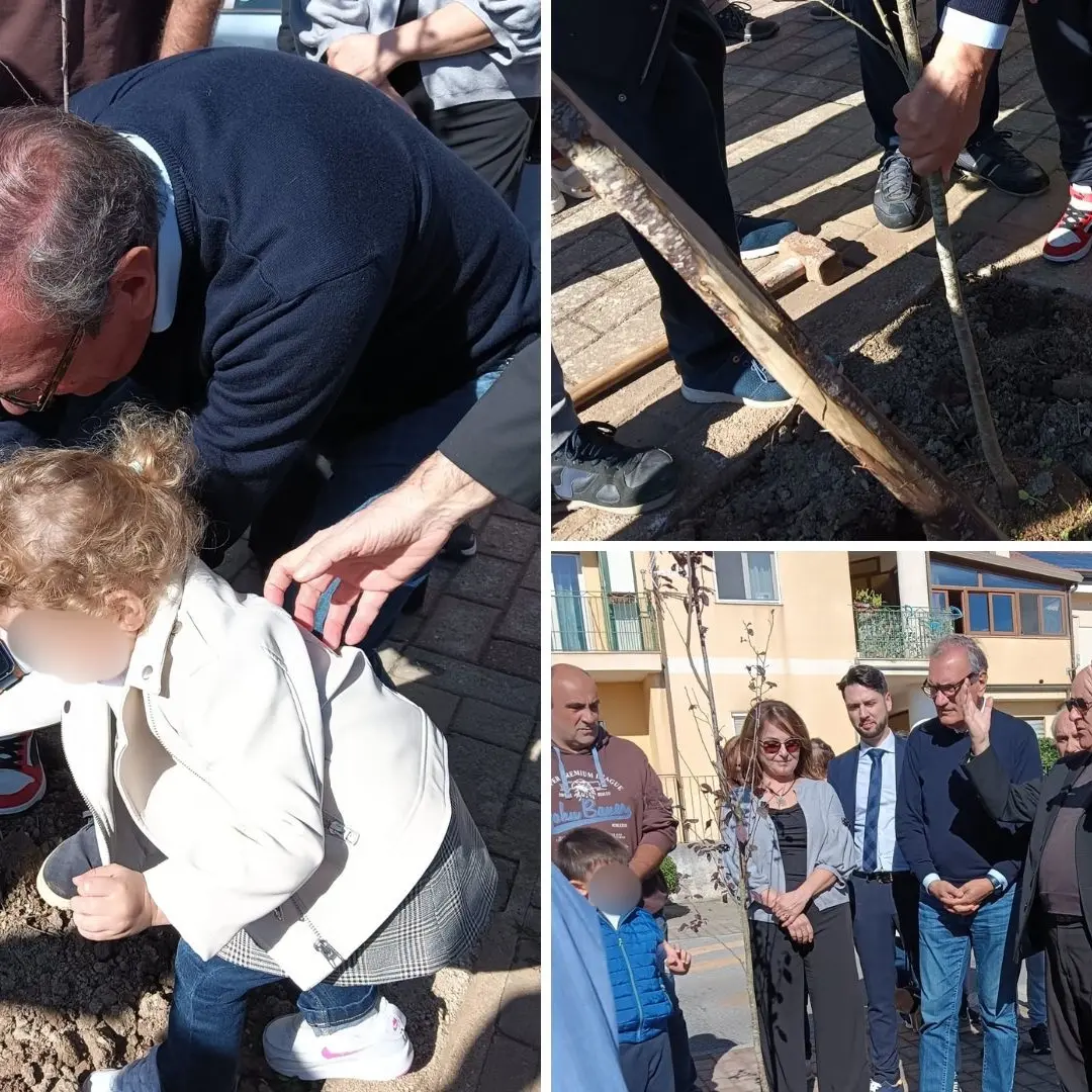 Vibo, prima uscita per l’associazione Pro Moderata Durant: messi a dimora 10 alberi