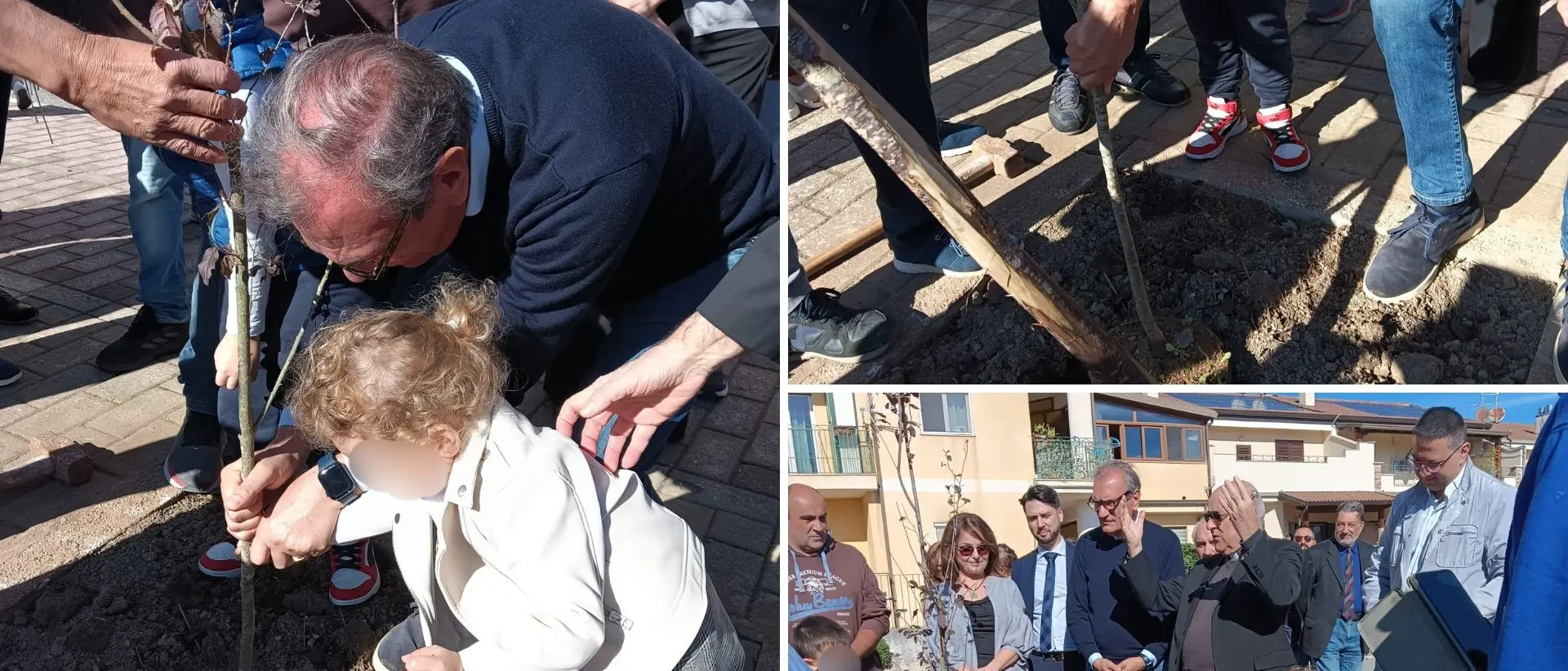 Vibo, prima uscita per l’associazione Pro Moderata Durant: messi a dimora 10 alberi