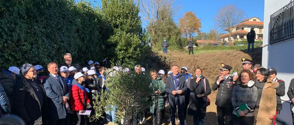 A Ionadi piantato l’albero di ulivo in memoria di Francesco Prestia Lamberti