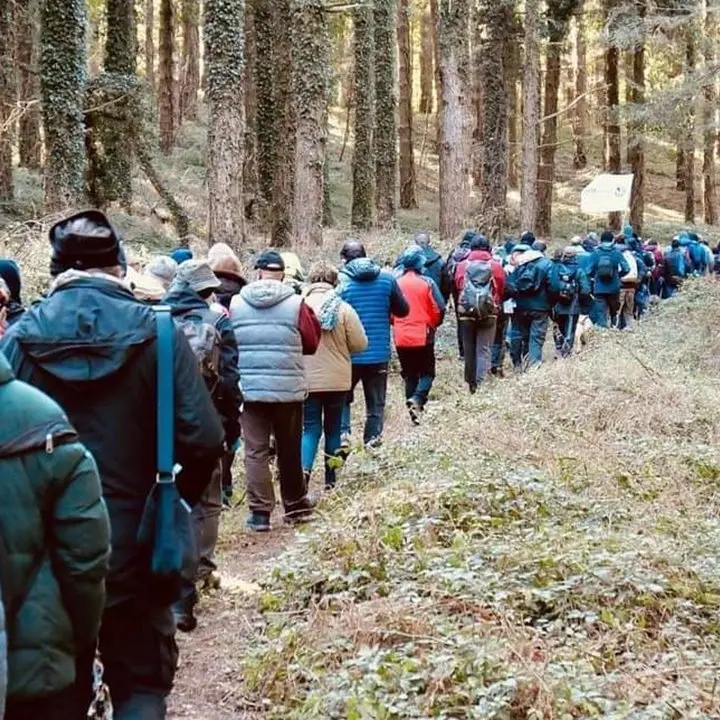 Giù le mani dalla faggeta di Monte Coppari: centinaia di cittadini invadono il bosco