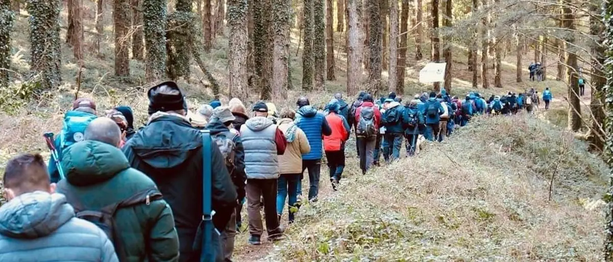 Giù le mani dalla faggeta di Monte Coppari: centinaia di cittadini invadono il bosco