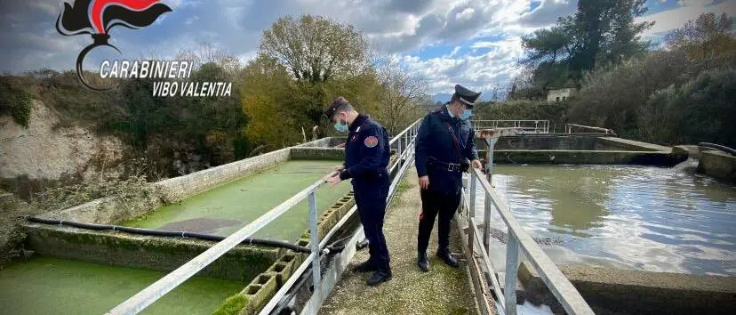 Rischio ecologico nel Vibonese, Iamundo (Udicon) invoca l’intervento delle autorità