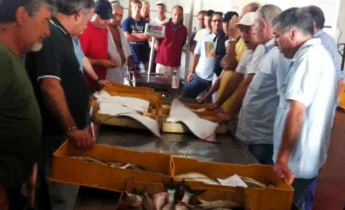 Vibo Marina, il menù di pesce alla vigilia di Natale e l’asta con banditore a voce