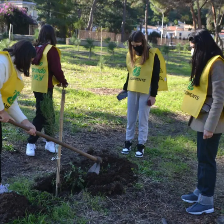Tropea, la pineta strappata al degrado rinasce grazie agli studenti
