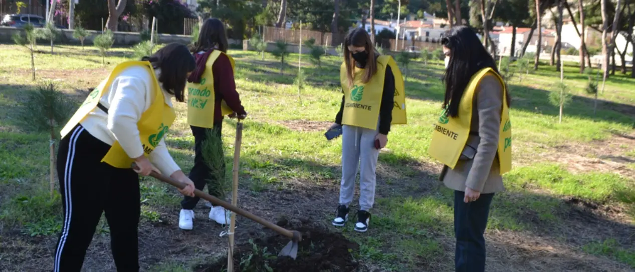 Tropea, la pineta strappata al degrado rinasce grazie agli studenti