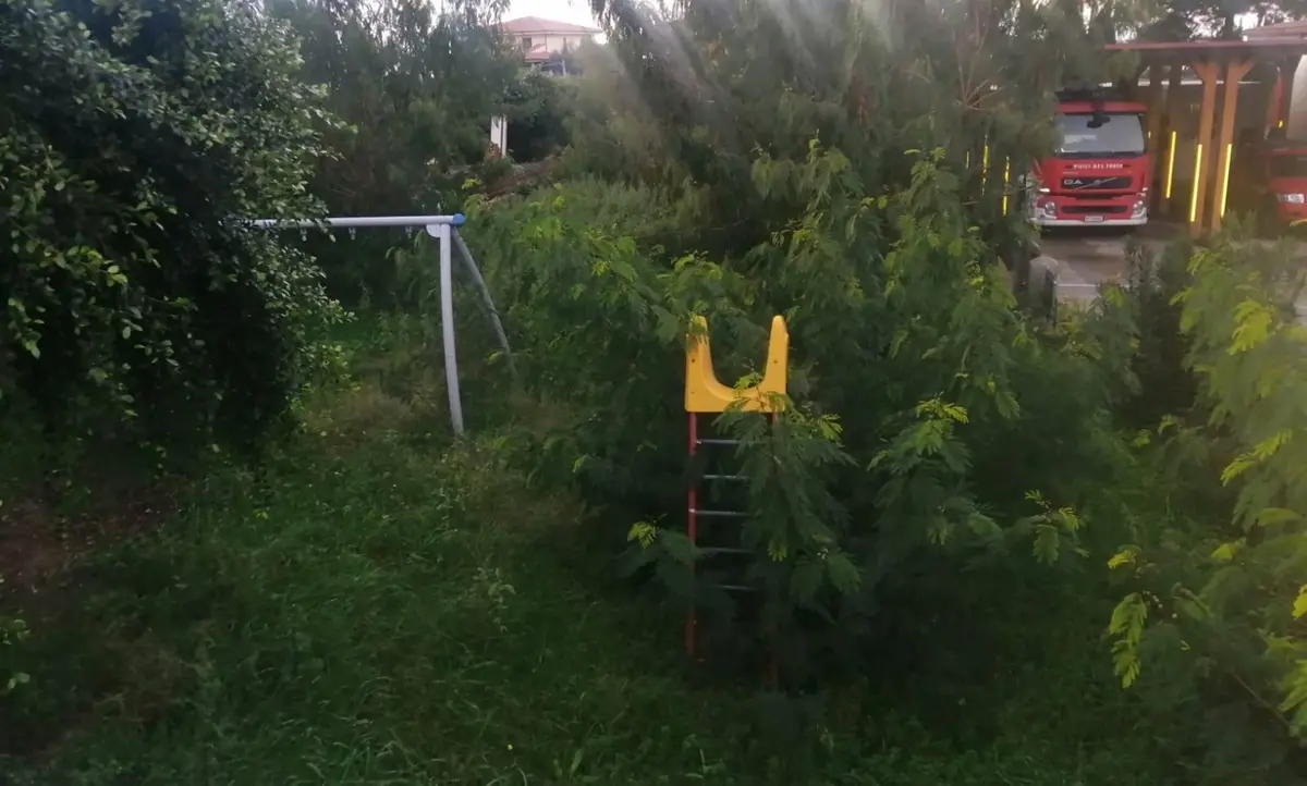 Tra erbacce e incuria, Brivadi di Ricadi nel degrado: la denuncia - Foto