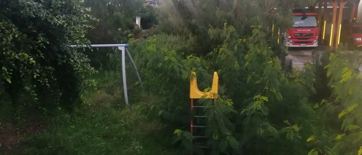 Tra erbacce e incuria, Brivadi di Ricadi nel degrado: la denuncia - Foto