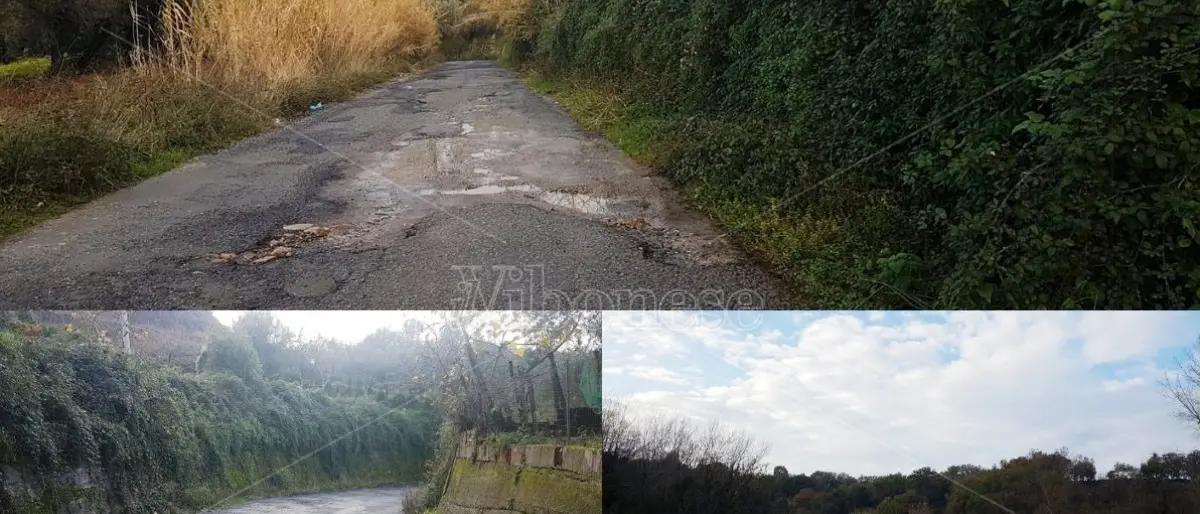 Viabilità da incubo nel Vibonese, viaggio lungo la strada provinciale San Cono-Potenzoni