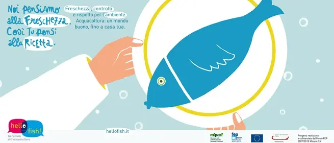 Camera di commercio, concluso il progetto “Hello fish\". Domani la presentazione dei risultati