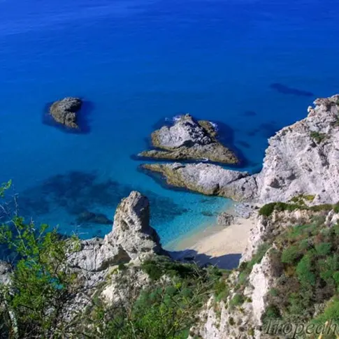 Una pinacoteca a cielo aperto a Capo Vaticano, presentato il progetto di Confcommercio