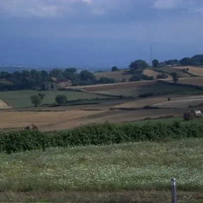 Fotovoltaico agli Scrisi, l’agronomo Lombardi rompe il fronte del no: «I pannelli non sottrarranno i terreni alle coltivazioni»\n