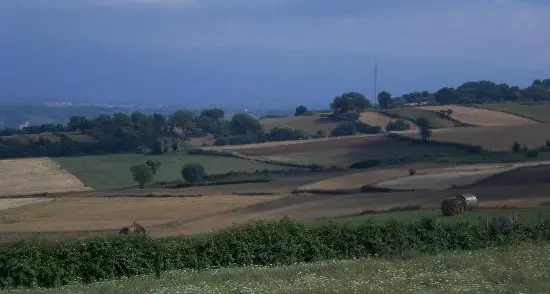 Fotovoltaico agli Scrisi, l’agronomo Lombardi rompe il fronte del no: «I pannelli non sottrarranno i terreni alle coltivazioni»\n