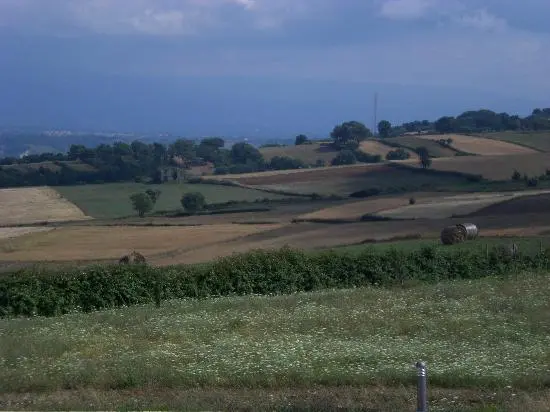 Fotovoltaico agli Scrisi, l’agronomo Lombardi rompe il fronte del no: «I pannelli non sottrarranno i terreni alle coltivazioni»\n