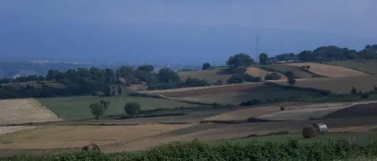 Fotovoltaico agli Scrisi, l’agronomo Lombardi rompe il fronte del no: «I pannelli non sottrarranno i terreni alle coltivazioni»\n