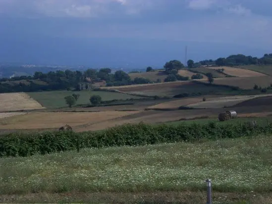 Fotovoltaico agli Scrisi, l’agronomo Lombardi rompe il fronte del no: «I pannelli non sottrarranno i terreni alle coltivazioni»