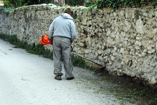 Vibo città della cultura. Presentato il Festival \"Leggere&Scrivere\"