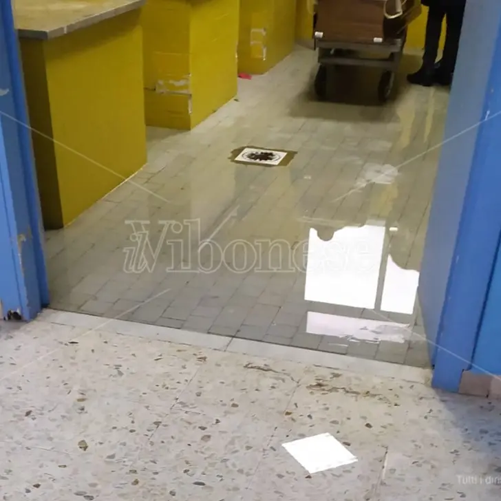 Vibo, allo Jazzolino costretti a piangere il proprio caro nella sala mortuaria allagata - Video