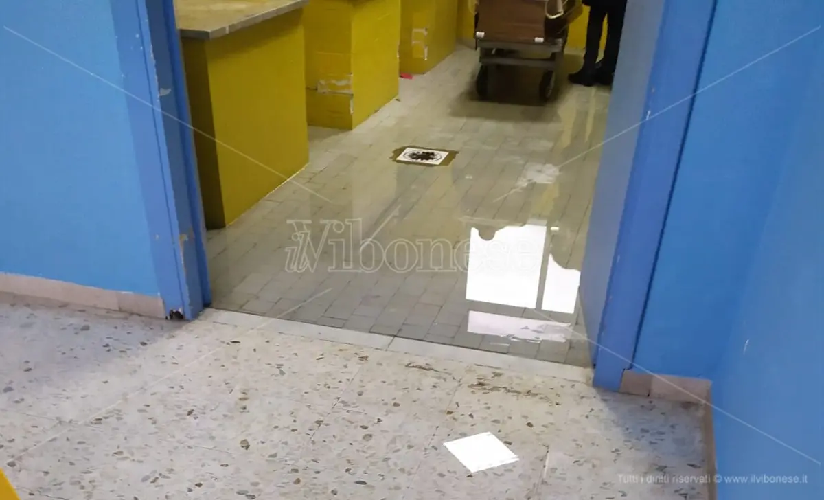 Vibo, allo Jazzolino costretti a piangere il proprio caro nella sala mortuaria allagata - Video