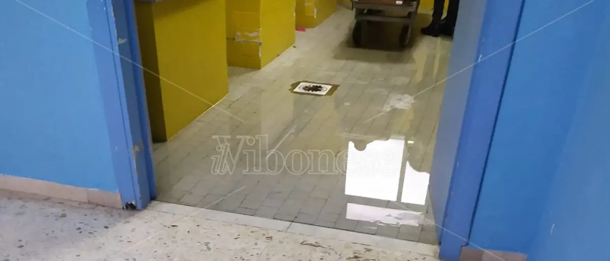 Vibo, allo Jazzolino costretti a piangere il proprio caro nella sala mortuaria allagata - Video