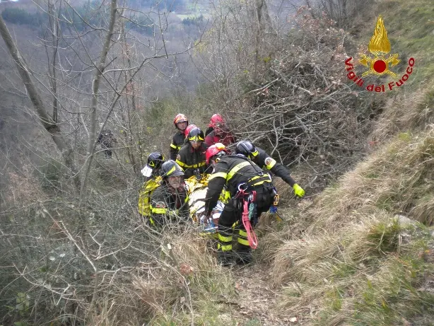 Dispersa e ritrovata dai Vigili del fuoco nei boschi delle Serre