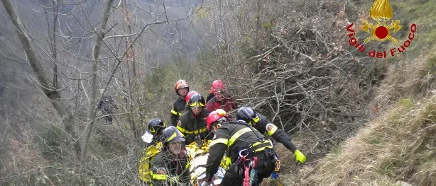 Dispersa e ritrovata dai Vigili del fuoco nei boschi delle Serre
