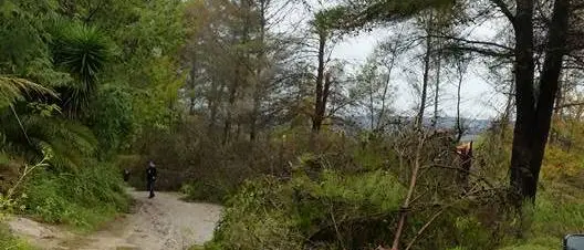 Maltempo e disagi nel Vibonese. Criticità nelle Serre e nell’Angitolano