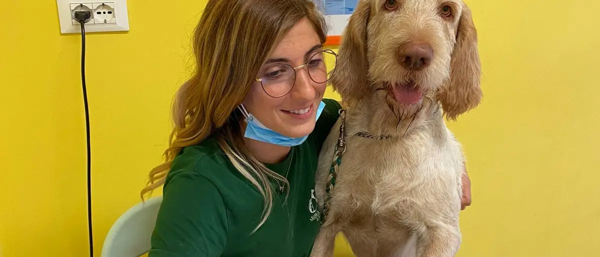 Capodanno, botti e cibi tossici: i consigli del veterinario per il benessere dei nostri animali