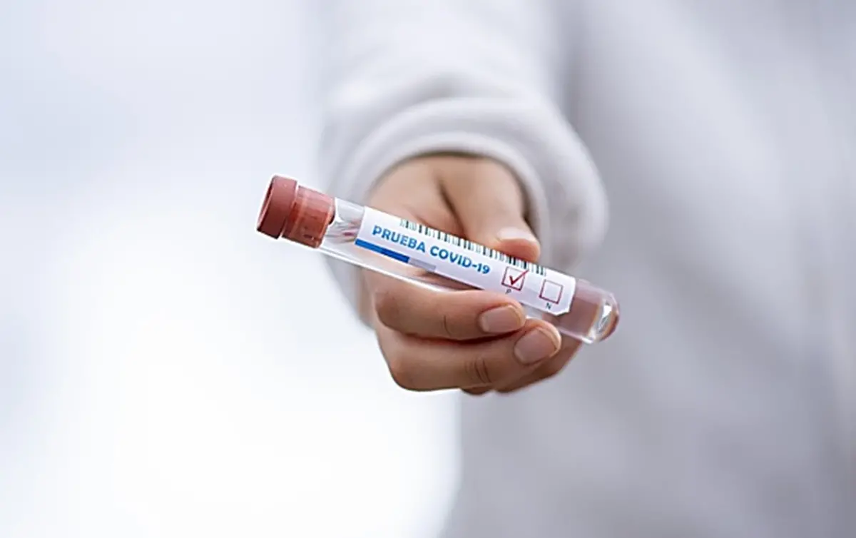 Covid, tamponi e tracciamento: l'odissea di una docente vibonese