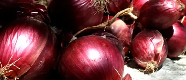 “La signora in rosso”, sabato il forum nazionale sulla cipolla di Tropea