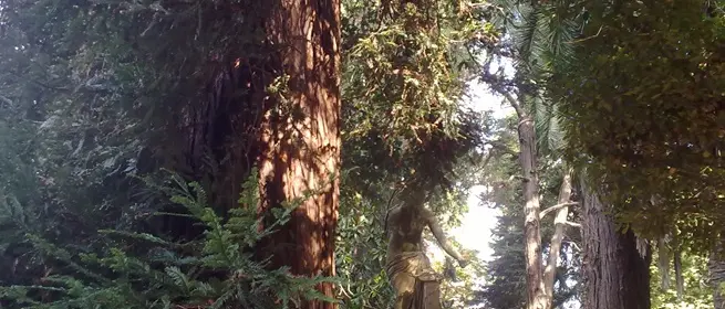 Villa Gagliardi in abbandono, la denuncia di Forza nuova