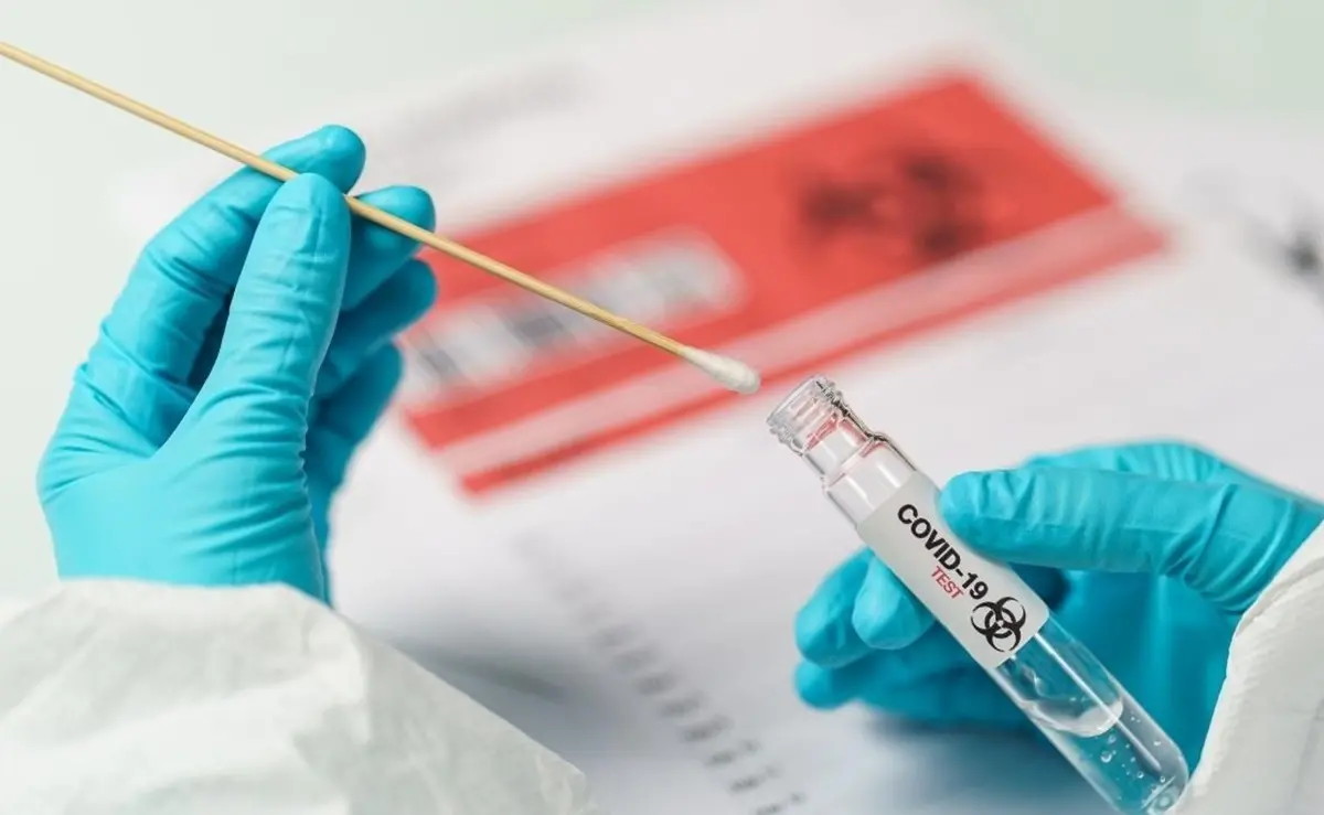 Covid, in Calabria 1491 casi e 6 morti: contagi ancora sostenuti nel Vibonese