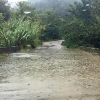 Maltempo: chiusa la provinciale Filogaso-San Nicola, allagamenti a Nicotera e Filadelfia