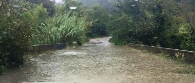 Maltempo: chiusa la provinciale Filogaso-San Nicola, allagamenti a Nicotera e Filadelfia