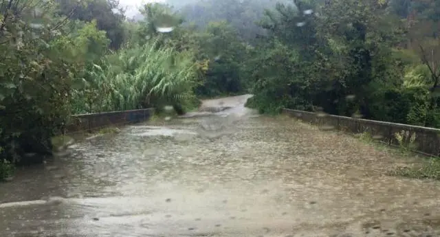 Muore schiacciato da un trattore, tragedia a Francavilla